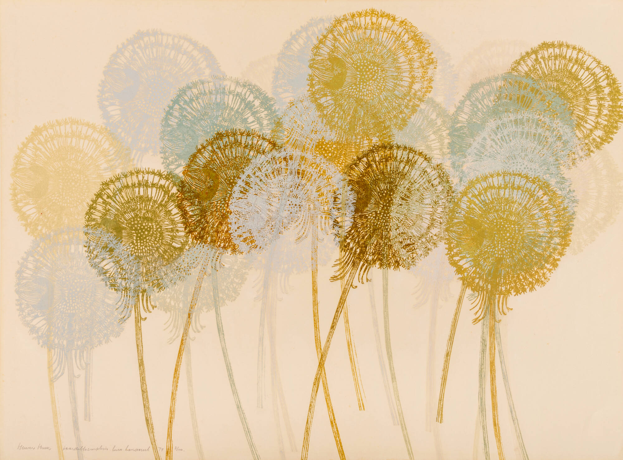 Multi-color print of a shape that looks like a dandelion flower in the wind.
